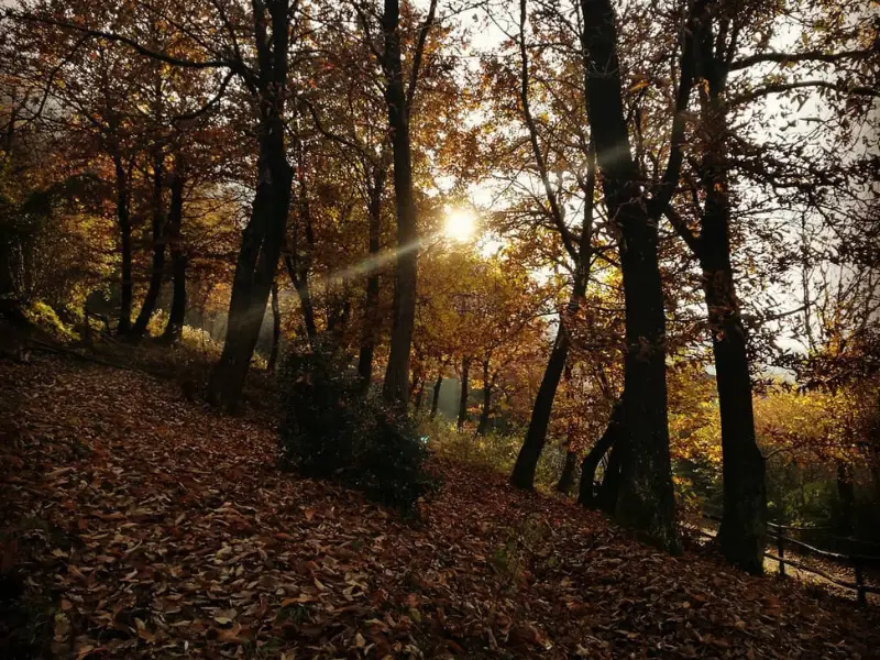 Cosa Fare In Autunno In Valseriana