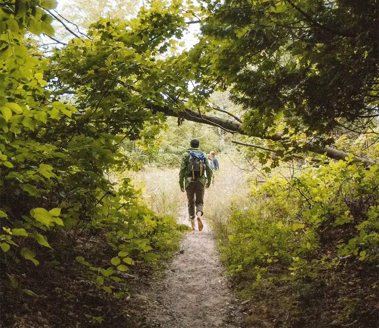 Scopri Il Territorio