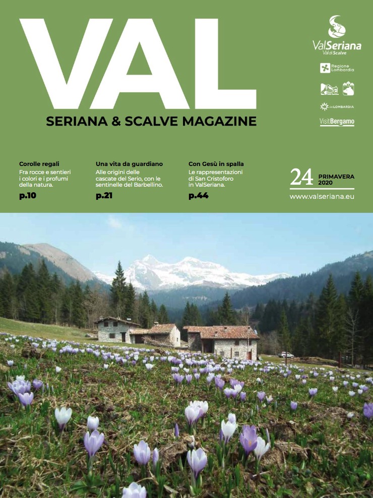copertina VAL primavera 24/2020
