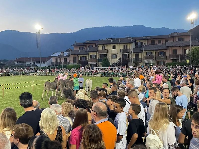 thumbnail Palio degli asini di Songavazzo e Fiera del Carmine