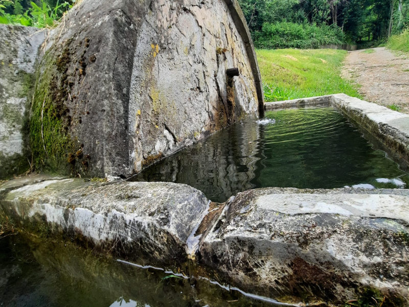 thumbnail Domeniche in Piazzo – Acqua in Piazzo