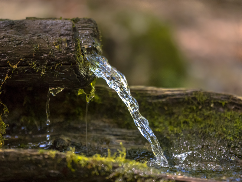 thumbnail Acqua locale, acqua globale: “L’acqua in Val Gandino”