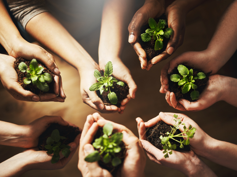 thumbnail ApPassionati ad Albino – “Agricoltura sostenibile e comunitaria”