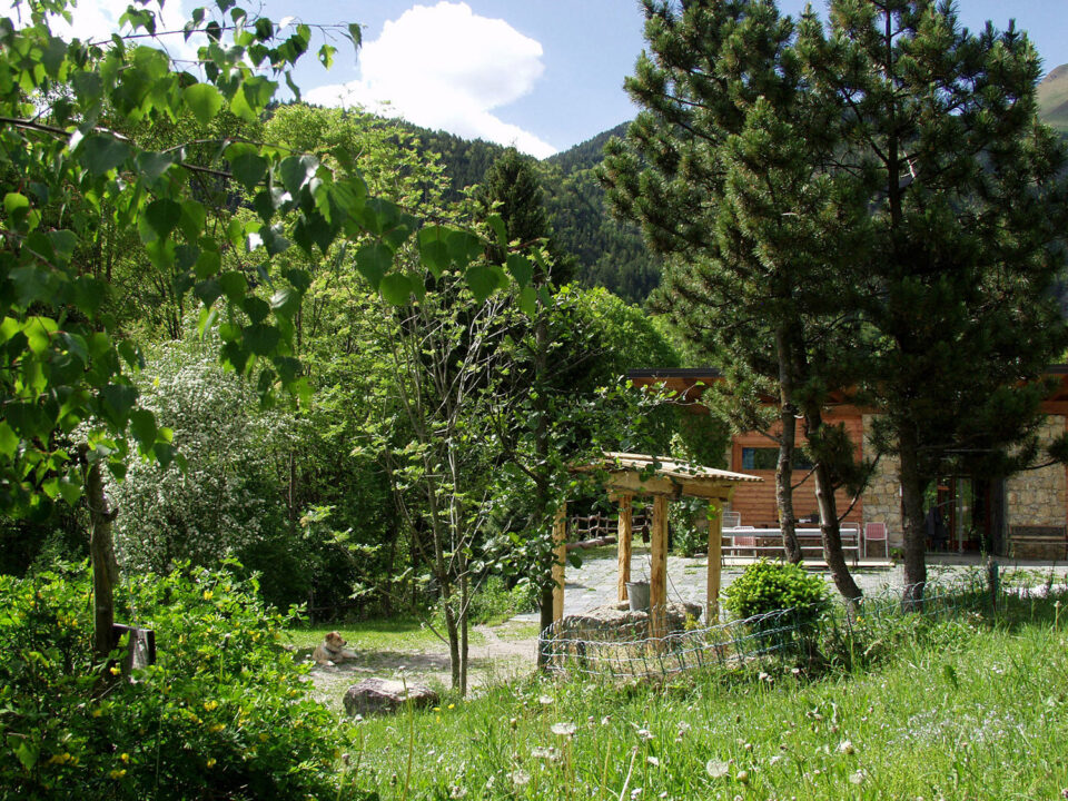 thumbnail Giornata dello scambio di semi e piantine