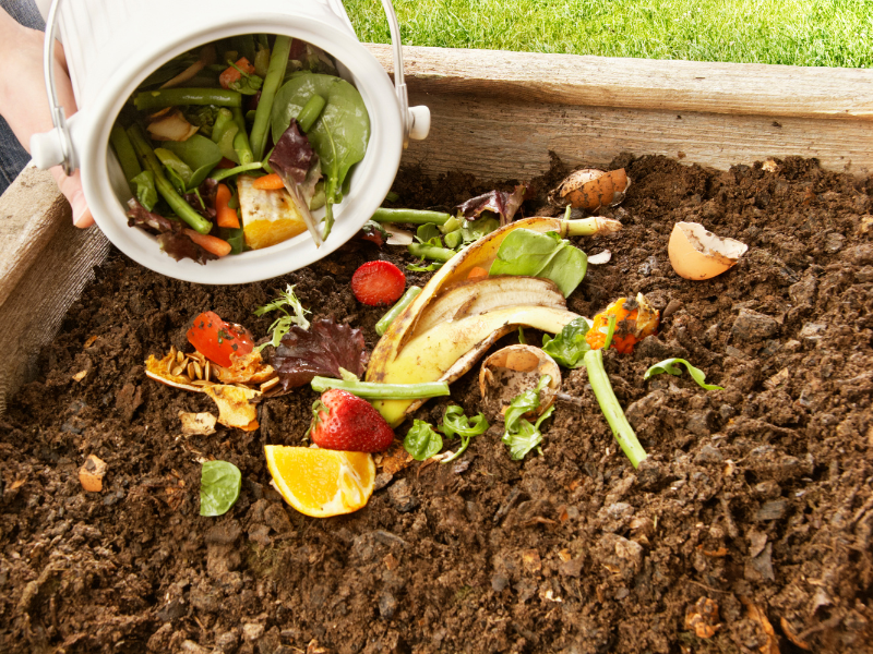 thumbnail “Il compost familiare”