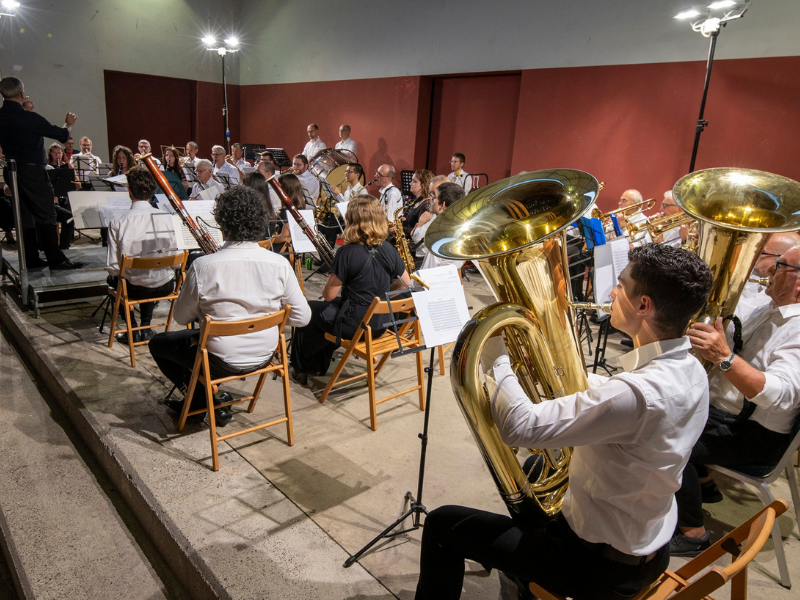 thumbnail Concerto dell’Amicizia “La montagna incantata”