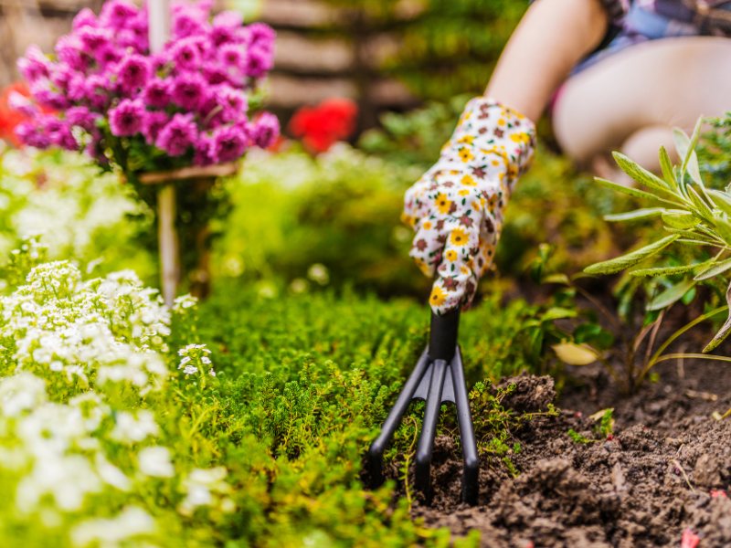 thumbnail Corso di floricoltura, giardinaggio e orticoltura