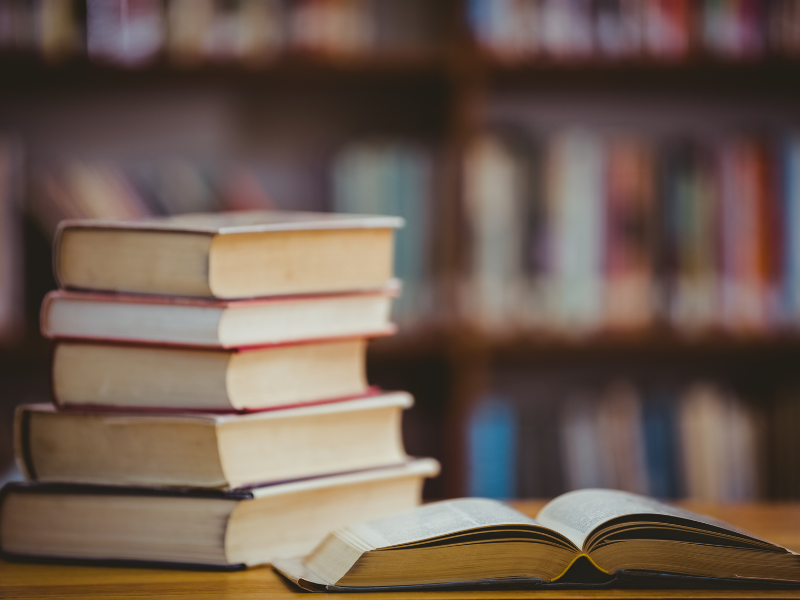 thumbnail Presentazione libro: Bergamo e Brescia, la guida ecologica sostenibile e solidale