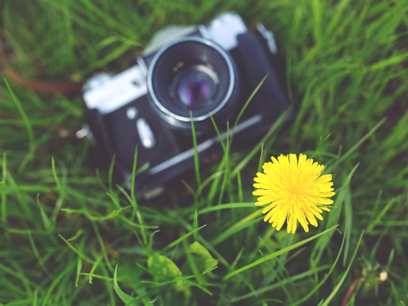 thumbnail Foto in Piazzo – Albino
