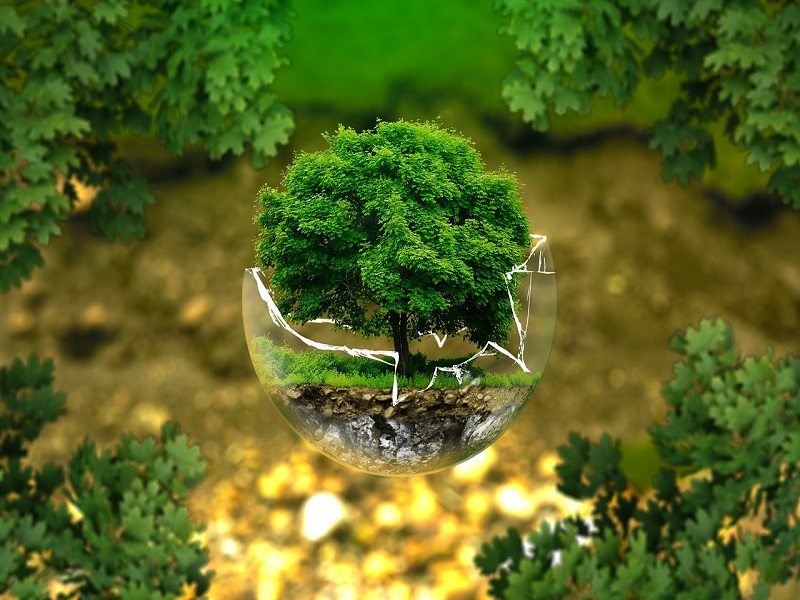 thumbnail Giornata Ecologica
