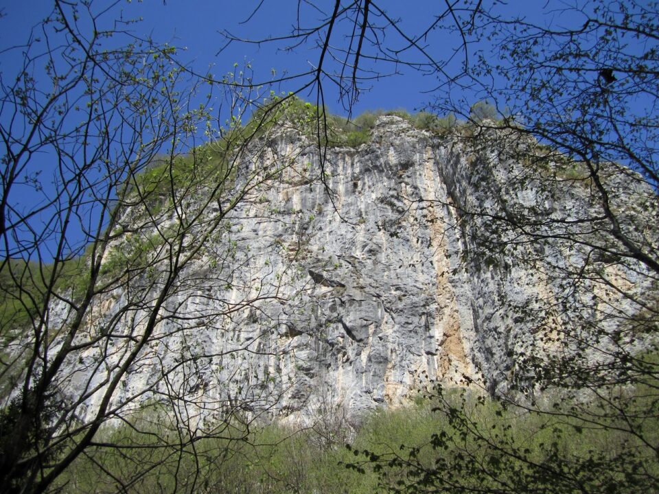 N 021