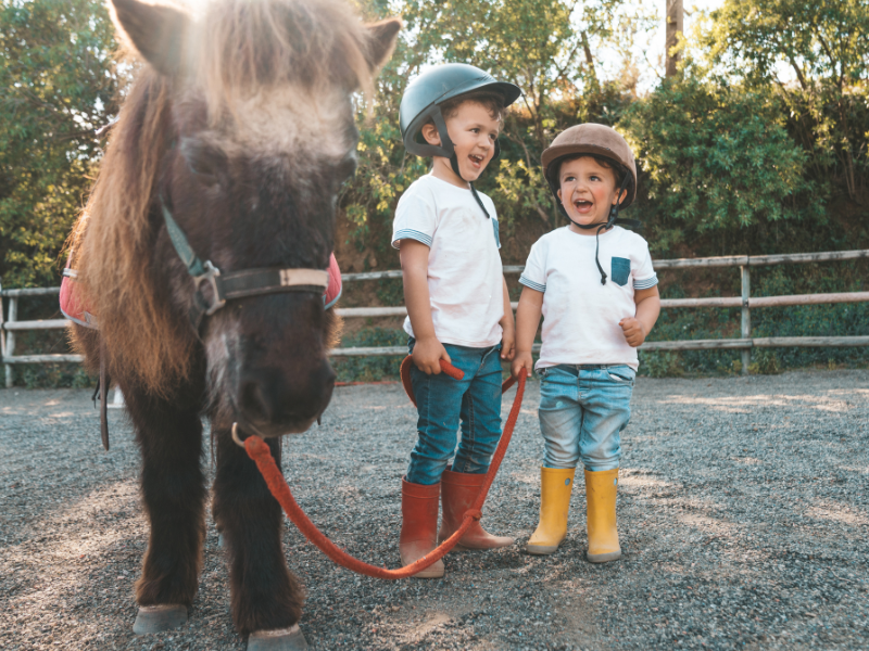 thumbnail Family Farm – 2° appuntamento