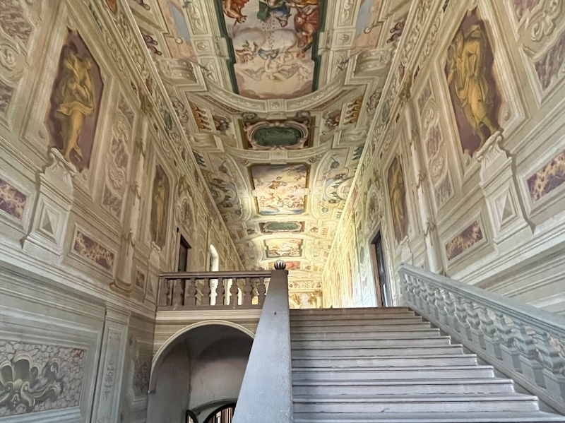 thumbnail Visita guidata a Palazzo Fogaccia
