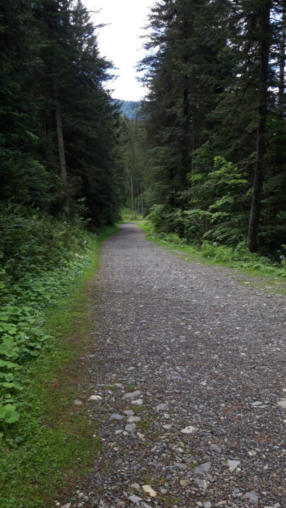 thumbnail Passeggiate con il passeggino in Val di Scalve