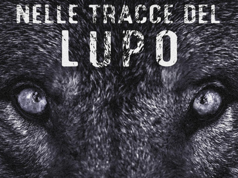 thumbnail Proiezione “Nelle tracce del lupo”