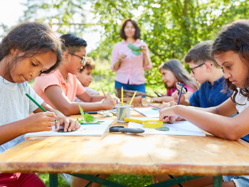 thumbnail Iscrizioni aperte OCRA Summer Camp 2025