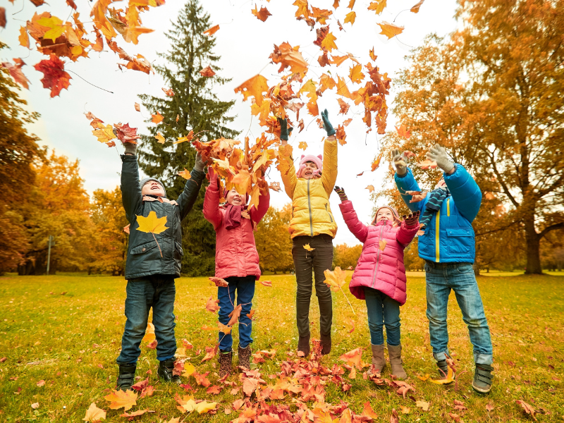thumbnail Festa d’autunno a Castione