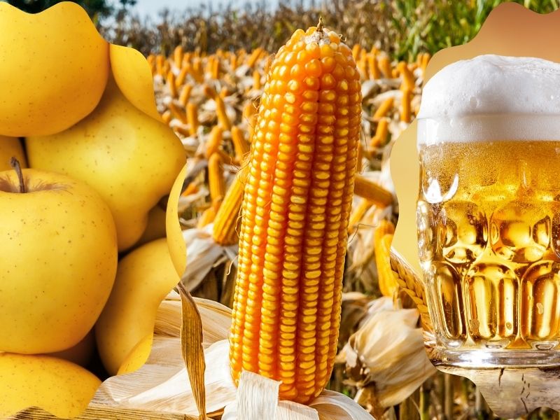 thumbnail Esperienza “Alla scoperta del giallo”