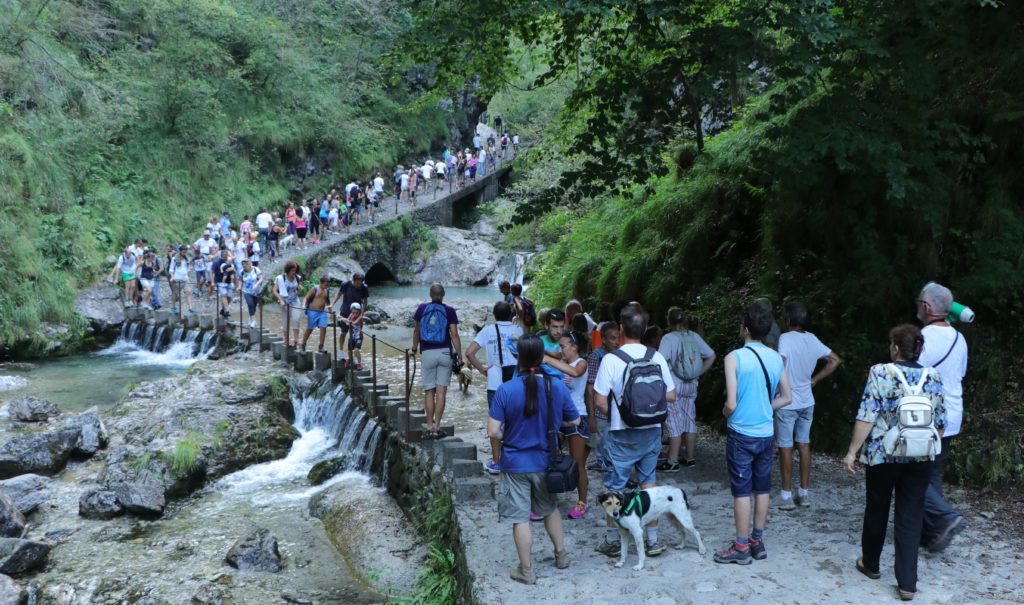 camminata-valvertova-ecologica.jpg