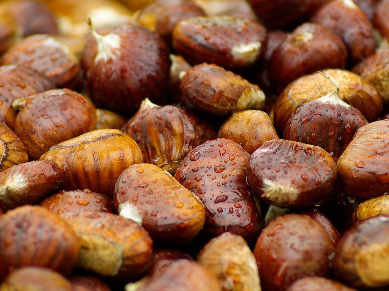 thumbnail Castanea – Incontro sulle selve castanili