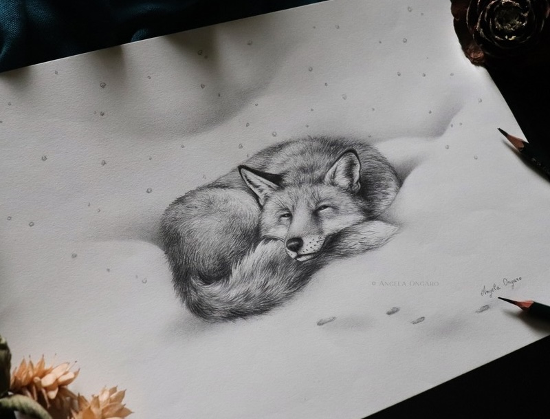 thumbnail Disegnare il bosco e i suoi animali