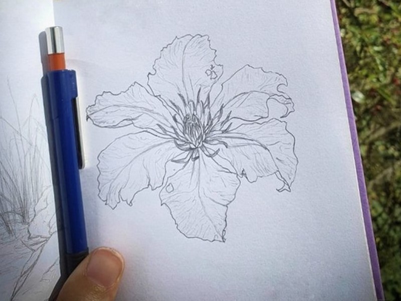 thumbnail Corso di disegno base a Pradalunga