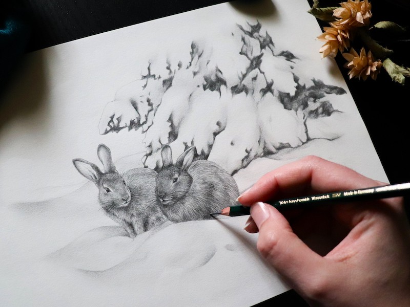 thumbnail Corso di disegno base “Animali e Leggende”