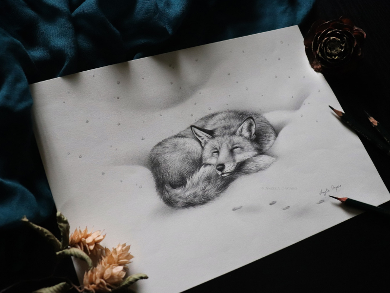 thumbnail Corso “Disegnare piante, fiori e piccoli animali”