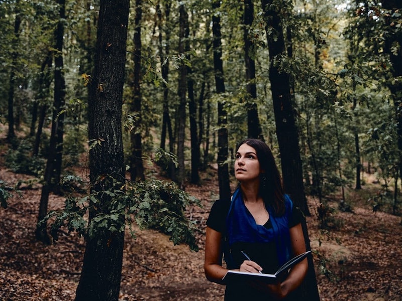 thumbnail Il bosco d’autunno