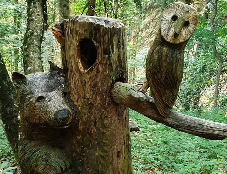 thumbnail Il bosco d’estate – Escursione e disegno all’aperto