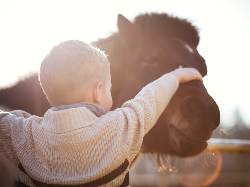 thumbnail Family Farm – 4° appuntamento