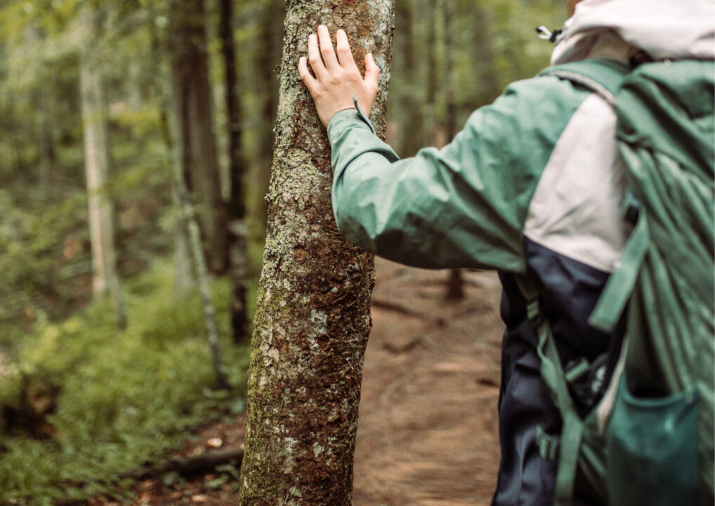 thumbnail Radici invisibili, Noi siamo Natura – 2° appuntamento