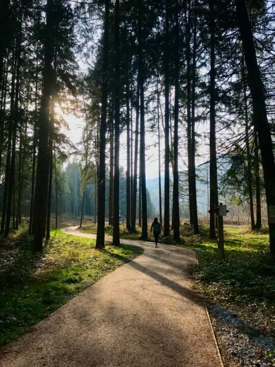 thumbnail Radici invisibili, Noi siamo Natura – 1° appuntamento