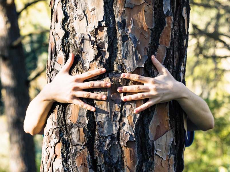 thumbnail Impronte naturali