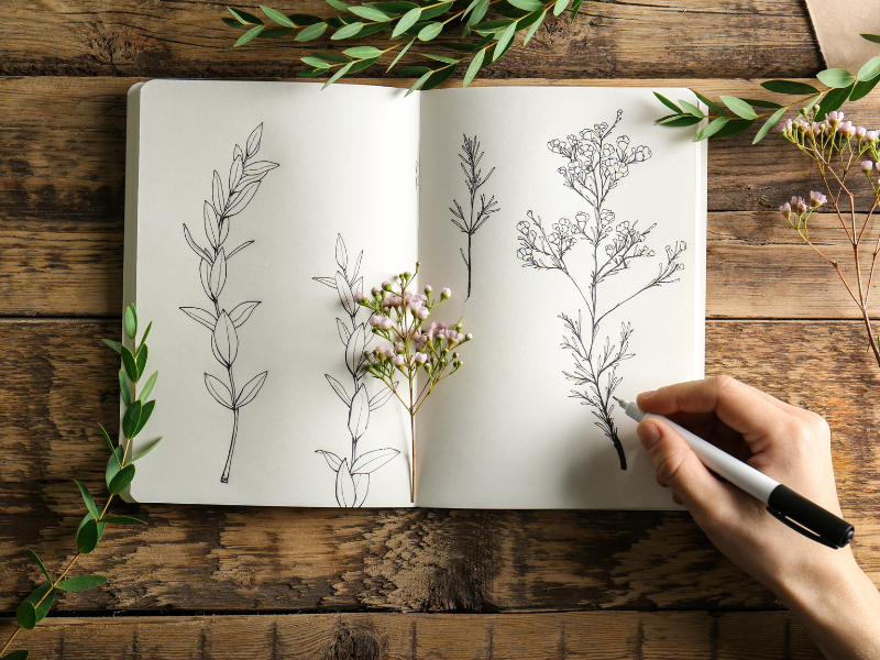 thumbnail Disegnare piante e erbe – Laboratorio di disegno