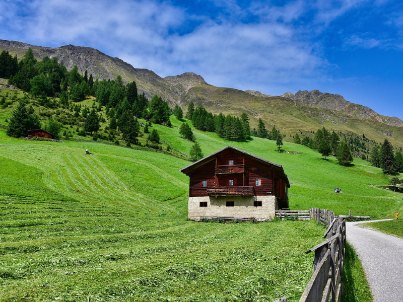 thumbnail Festa in Malga Valmezzana