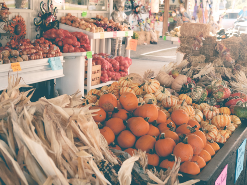 thumbnail Mercato Agricolo Casnighese – marzo