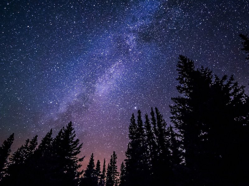 thumbnail Castanea – Convegno e castagnata sotto le stelle