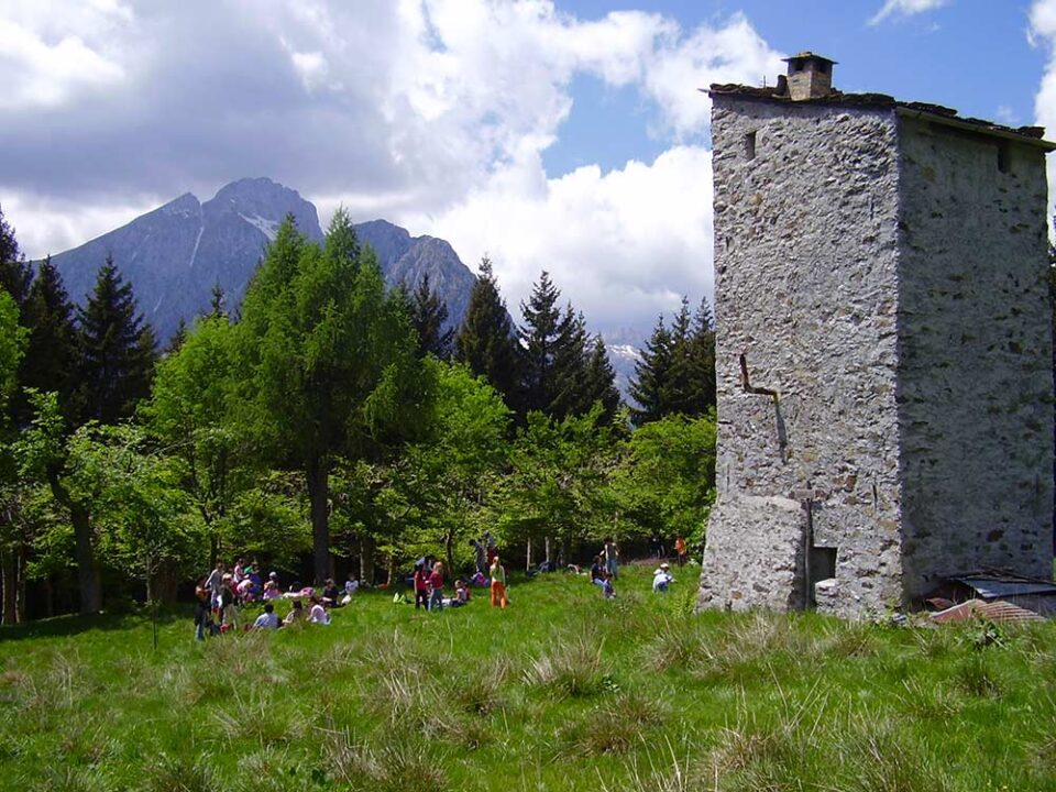 Paline 7