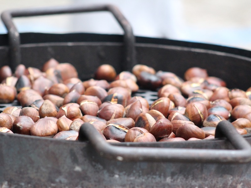 thumbnail Castanea – Un paese colto in castagna