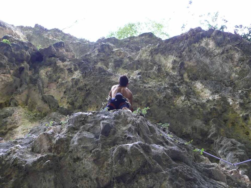 Valgua6