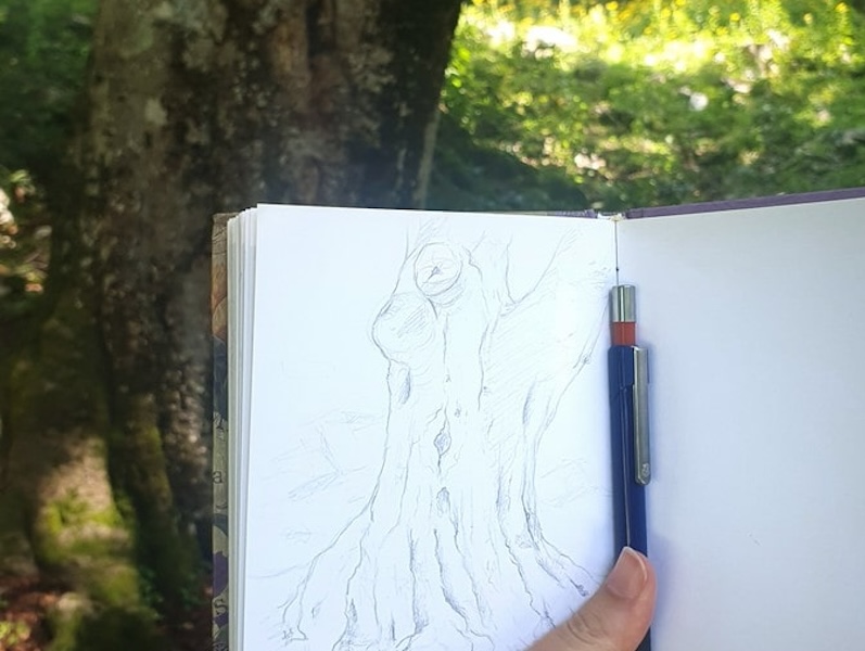 thumbnail Iscrizioni aperte al workshop “Disegnare alberi, rami e corteccia”